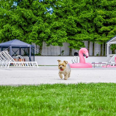 Resort Golf Kolczewo Bagian luar foto