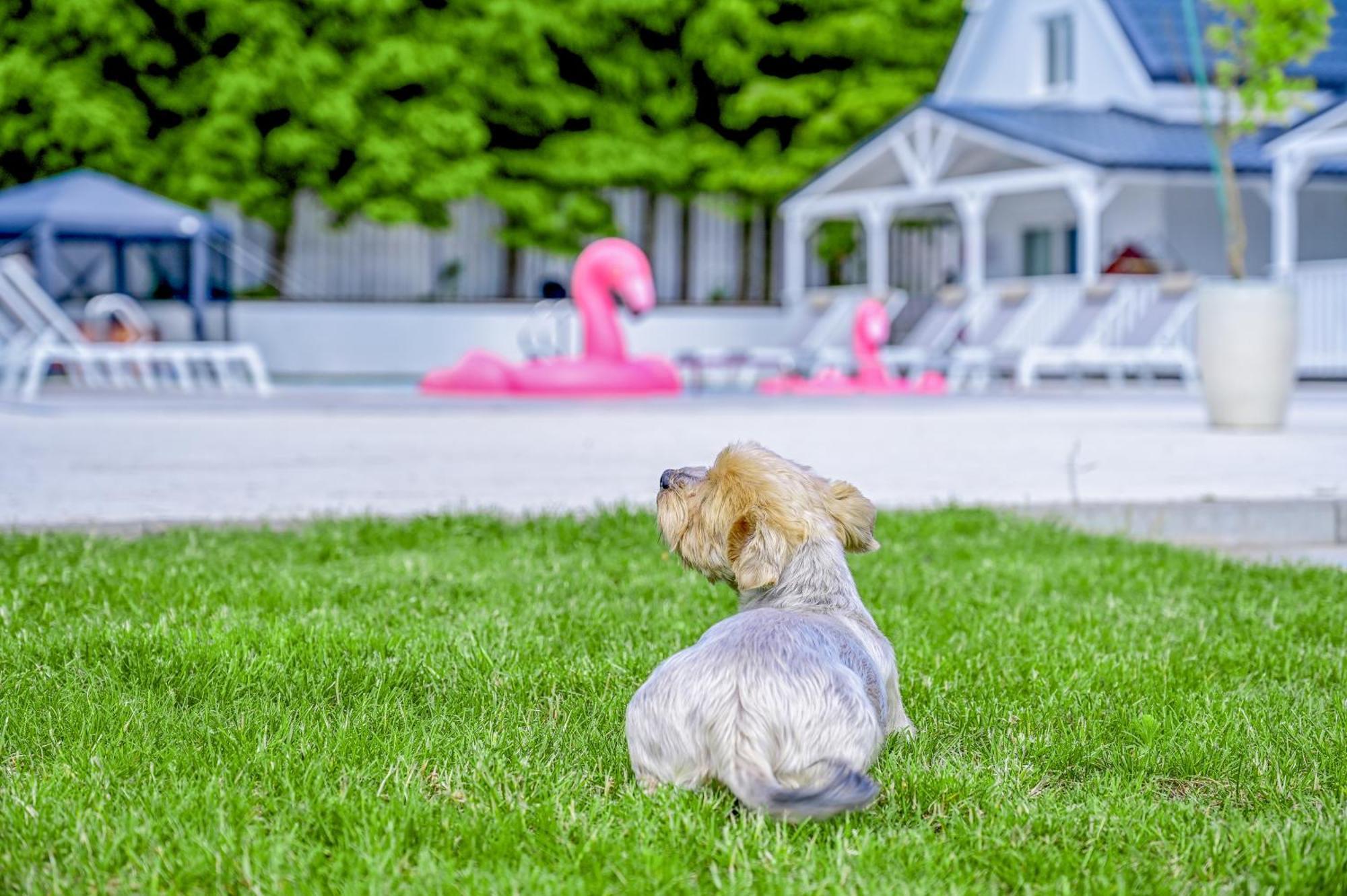 Resort Golf Kolczewo Bagian luar foto